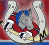 Mustangs New Logo(1)