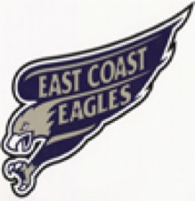 eaglesjrhockey.com